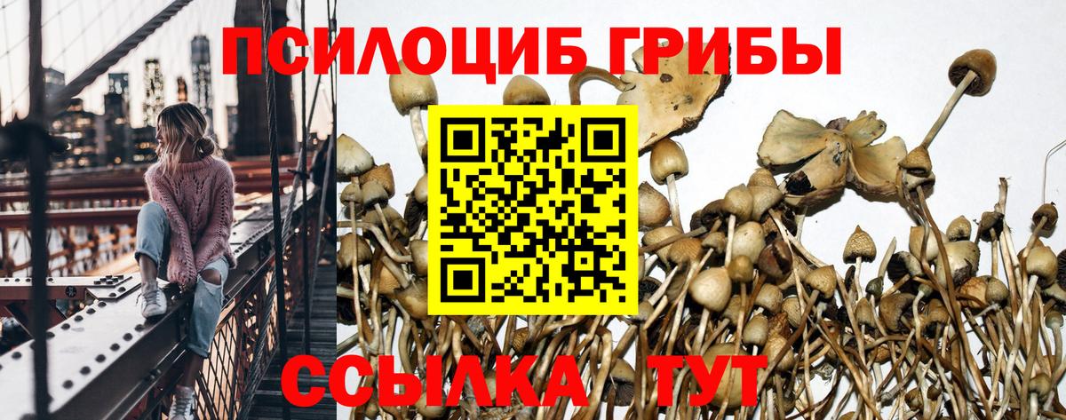 Галлюциногенные грибы ЛСД  Вход с VPN  Майский 