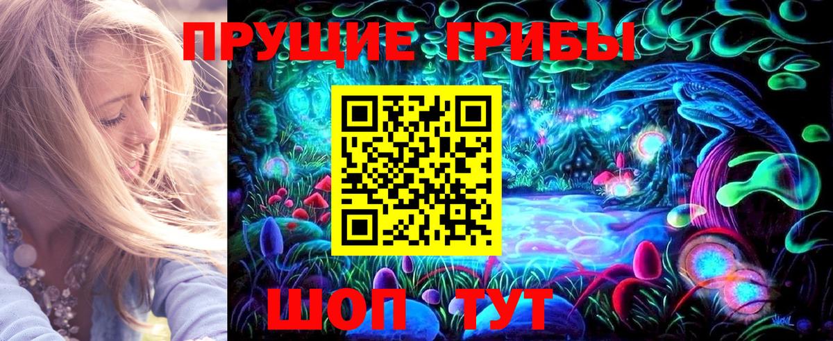 Галлюциногенные грибы Psilocybe Майский